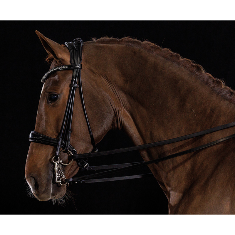 Schockemohle Kensington Bridle - Black/Patent/Silver-1